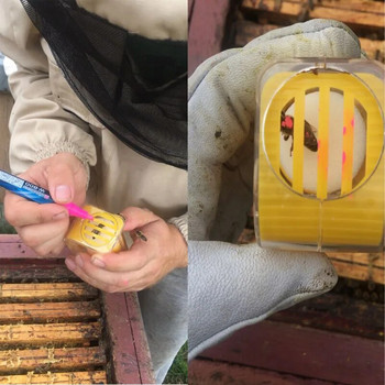 1Pcs Bee Queen Marker Bottle Bee Mark Cage Пластмасов улов за маркиране с една ръка с бутало Плюшени градински пчеларски принадлежности
