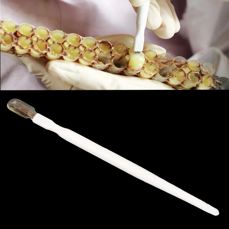 6 vnt Nešiojamasis bičių pienas Bičių pienelio grandiklis Minkštimas Paimkite rašiklį Plastikinis Baltųjų Bičių Įrankiai Perkėlimo įrankiai Bitininkystės įrangos reikmenys