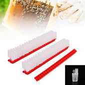 Novi dizajn Queen King kavez Transportna šipka Slobodno pokretni kukci Plastični zatvorenik Zaštita farme za pčelarstvo Opskrba pčelarskim alatima