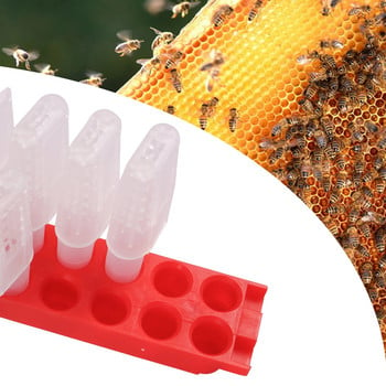 Нов дизайн Queen King Cage Transport Bar Свободно движещи се насекоми Пластмасови затворници Пчеларска ферма Защита Пчеларски инструменти Supplie