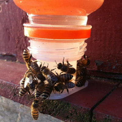 2 PCS Чаша за фонтан за пиене на пчели Капачка за бутилка с вода Поилка за хранене на насекоми Инструменти за пчеларство
