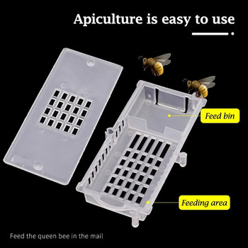 Пчеларски пчелни прозрачни клетки за кралици, транспортни клетки за пчелни кралици, кошер за отглеждане на пчелни насекоми затворник King Cage 10 бр.