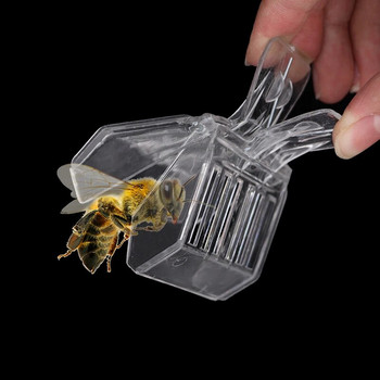 2Pcs Queen Bee Cages Clip Bee Catcher Безцветна прозрачна пластмасова скоба Cage Пчеларско оборудване Инструмент Пчелар Оборудвайте изолационна стая