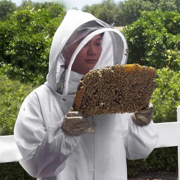 Костюм на пчелар Предпазно защитно яке с шапка за риболов на пчели Дишащ воал Пчеларски инструменти Защитено от пчели облекло 1 комплект