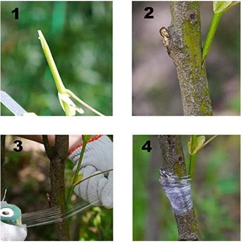 PE skiepijimo juosta plėvelė Lipni sodo medžiai augalai sodinukai vynmedis pomidorų skiepijimo priedai Tamprus 2/2,5/3 cm plotis