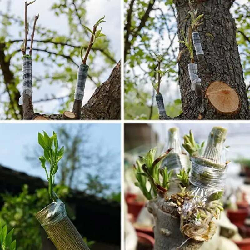 PE skiepijimo juosta plėvelė Lipni sodo medžiai augalai sodinukai vynmedis pomidorų skiepijimo priedai Tamprus 2/2,5/3 cm plotis