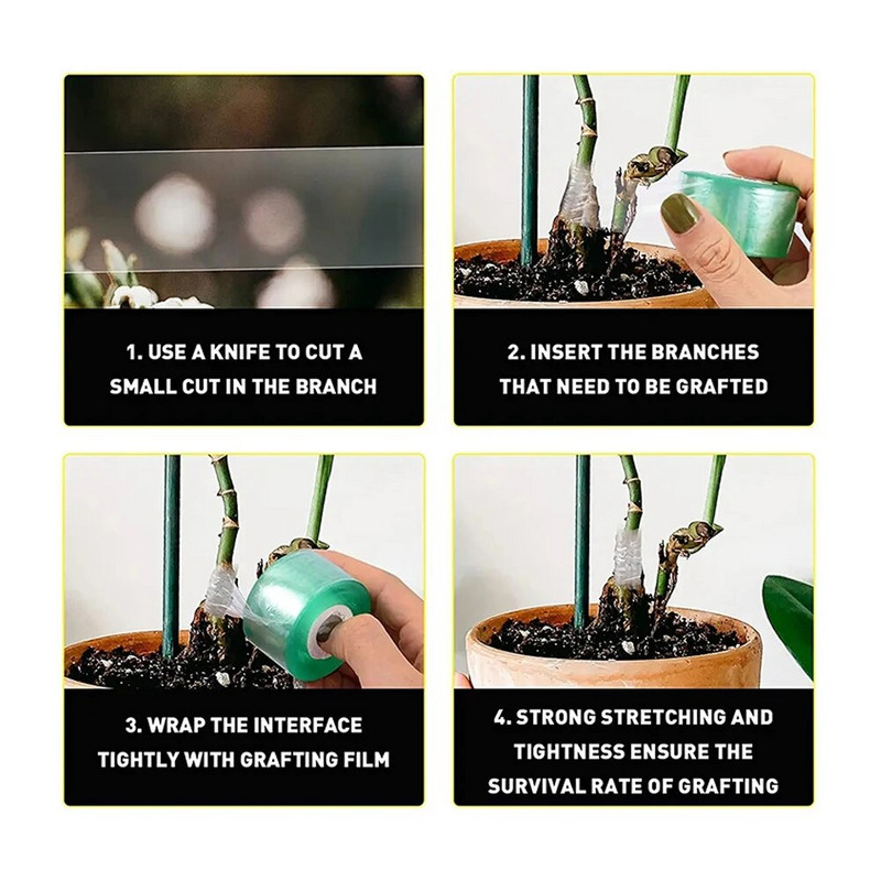 1 rulonas PE skiepijimo juosta plėvelė Lipni sodo medžių augalų sodinukai vynmedžiai Pomidorų skiepijimo priedai Tamprus 2 mm 3 mm plotis