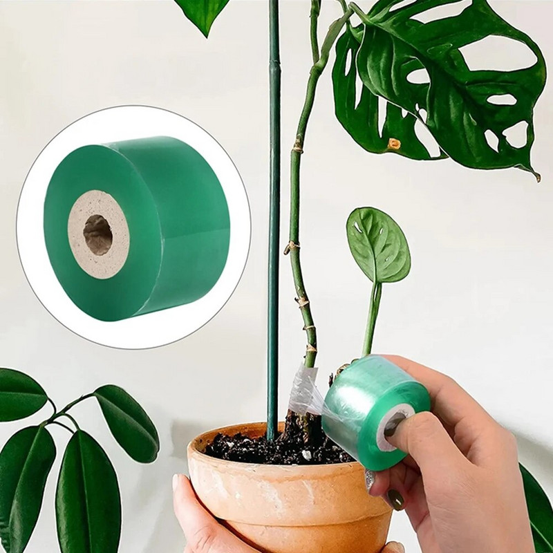 1 rulonas PE skiepijimo juosta plėvelė Lipni sodo medžių augalų sodinukai vynmedžiai Pomidorų skiepijimo priedai Tamprus 2 mm 3 mm plotis
