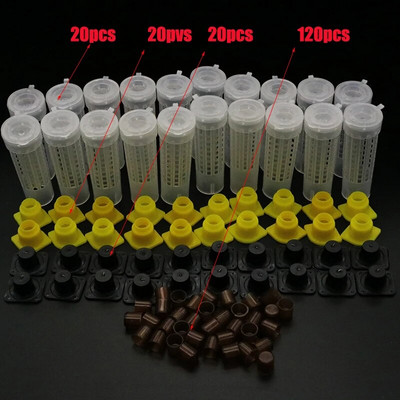 Cuști pentru apicultura King Queen Sistem de cupe pentru creșterea albinelor Cutie de prindere pentru apicultura Cutie cu celule Cușcă Nicot Kit complet Apicultura