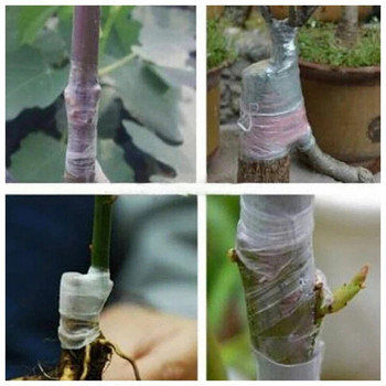 Ταινία εμβολιασμού PE Αυτοκόλλητο φορητό Φυτά δέντρων κήπου Σπορόφυτα Προμήθειες εμβολιασμού Τεντώσιμο Οικολογικό 2/3/4cm