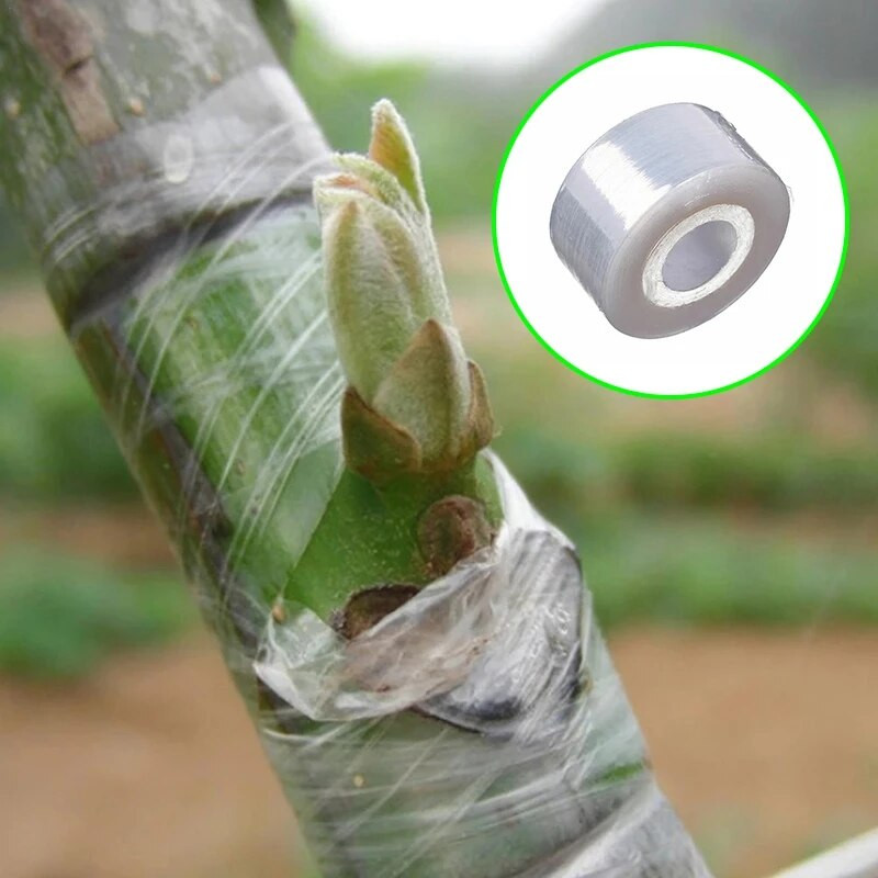 PE traka za kalemljenje Film Samoljepljiva prijenosna vrtna stabla Sadnice Pribor za kalemljenje Rastezljivi Ekološki 2/3/4 cm