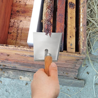 1PC Пчеларска лопата за прашец от неръждаема стомана Чист екстрактор за мед Плосък кошер Чисто скреперно оборудване Професионален инструмент за пчелар