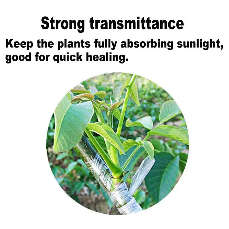 3/4*200m darželio skiepijimo juostos ritinys Tamprus lipnus skaidomas parafilmas augalų juosta Genėjimas skiepijimas skaidri G D0G2