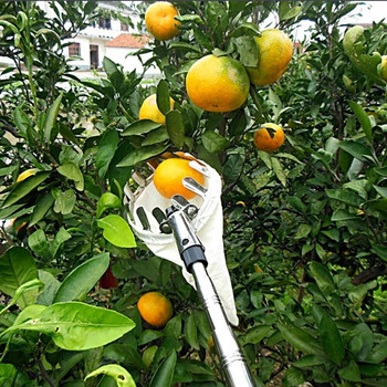 Metal Fruit Picker Orchard Gardening Apple Peach High Tree Picking Tools Fruit Catcher Collector Gardening Tools