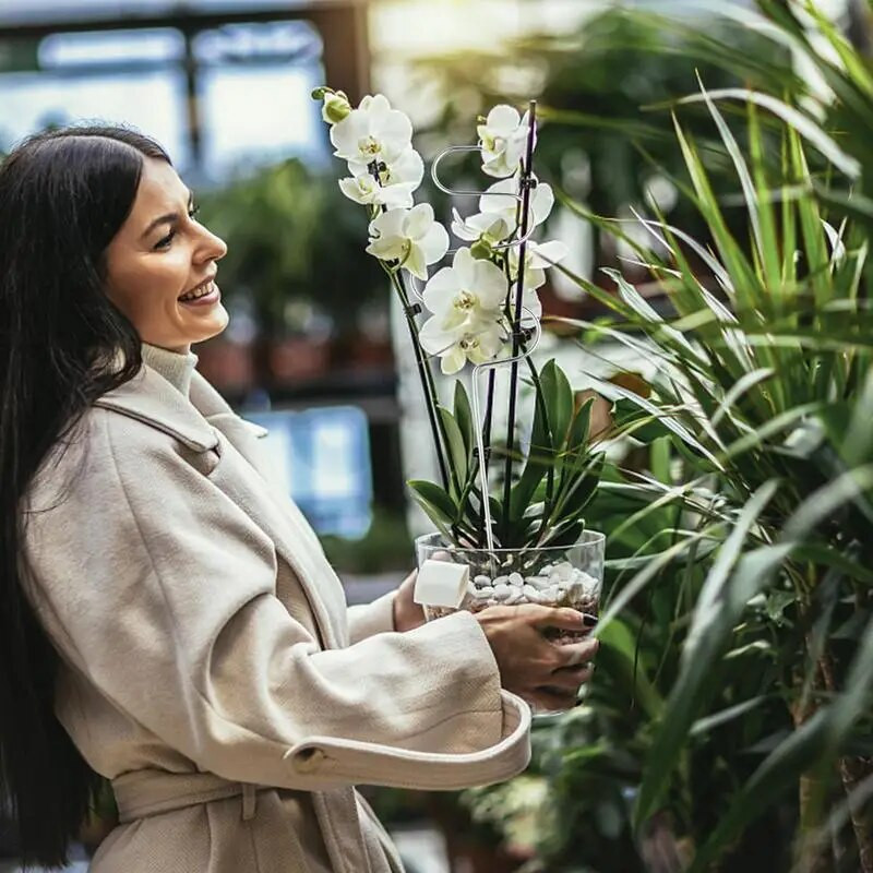 Sodo augalų atraminis hortenzijos narvelio gėlių stovo laikiklis nerūdijančio plieno atraminė lazda Sodo kuolų bijūnų narvas vijokliniam augalui