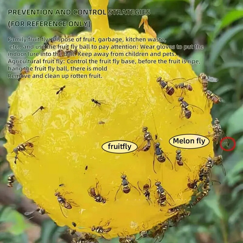 1 gabalas geltonas lipnus musių gaudytojas su lazdelės formos spąstais Sodo kiemo ūkio spąstai maži skraidantys vabzdžiai