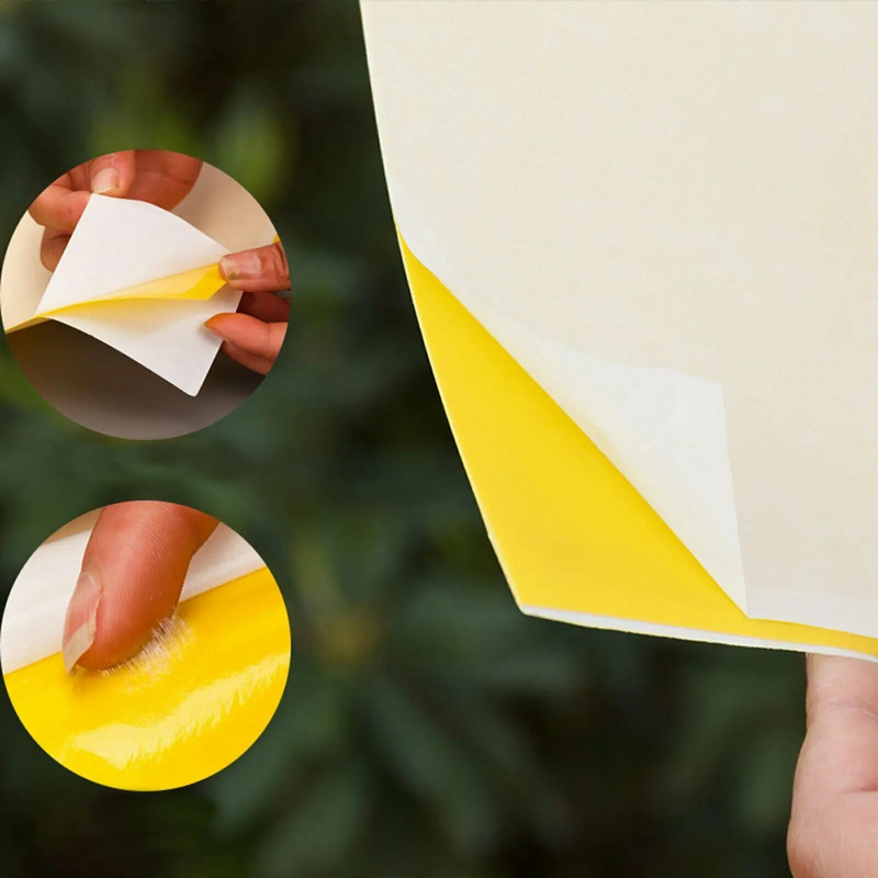 10kom Žuto ljepljivo ljepilo Papirna zamka za insekte Hvatač Ljeto Ubijte muhe Lisne uši Puno osa Štetočine ubojice Kontrola štetočina Kućni vrtni pribor