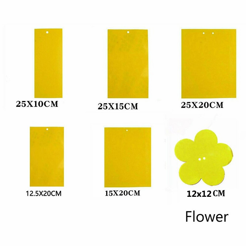 10kom Žuto ljepljivo ljepilo Papirna zamka za insekte Hvatač Ljeto Ubijte muhe Lisne uši Puno osa Štetočine ubojice Kontrola štetočina Kućni vrtni pribor