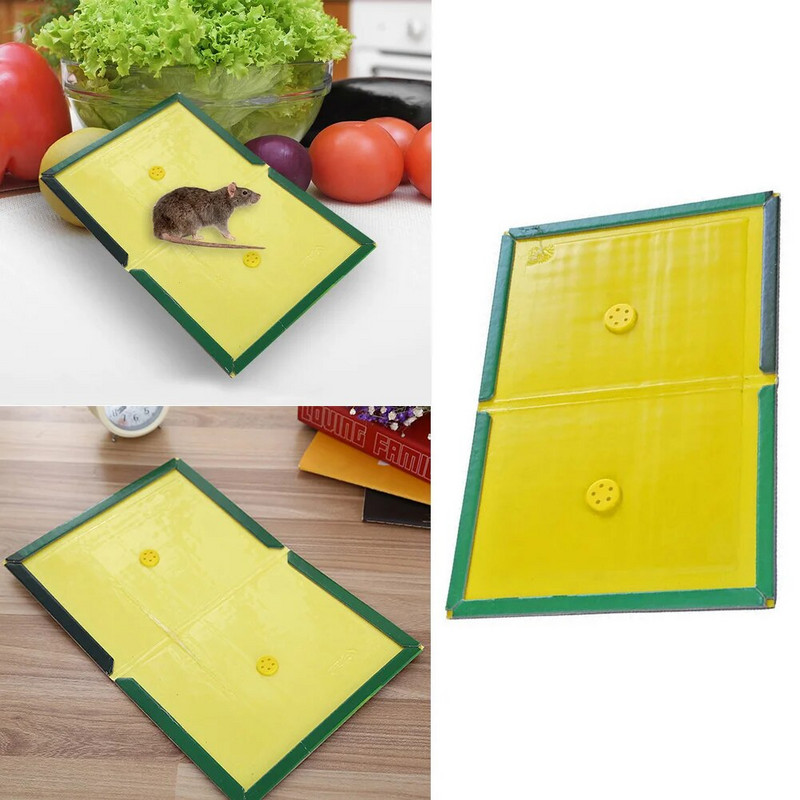 3-1 vnt. pelės lenta Lipni žiurkių klijai Pelių gaudyklė klijai lenta pelių gaudyklė Netoksiška kenkėjų kontrolė Atmesti pelės žudikų žiurkių spąstai