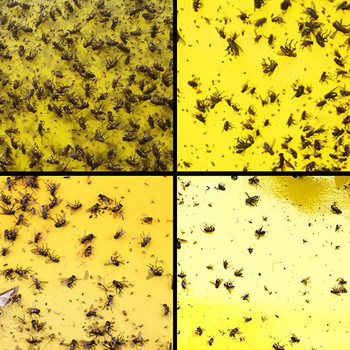 10PCS Силни капани за мухи Жълта лепкава дъска Двустранно улавяне на листни въшки Насекоми Убиец на вредители Външен капан за мухи Dropship