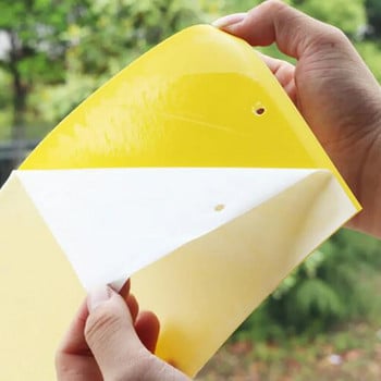 10 τεμ. Ισχυρές παγίδες μυγών Κίτρινη κολλώδης σανίδα διπλής όψης που πιάνει αφίδες έντομα Pest Killer Outdoor Fly Trap Dropship