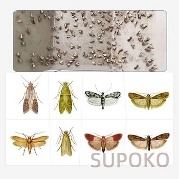 Moths Killer Ισχυρή πρόσφυση Moth Trap Κολλήστε χαρτί για μείωση των σκόρων Φυσική παγίδευση Pitfall Pit Snare Hook Προώθηση και δώρα