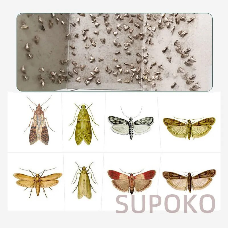Moths Killer Stiprus sukibimas Moth Trap Stick popierius, skirtas kandžių mažinimui Fizika Įstrigimo Duobė Snare Hook Reklama ir dovanos