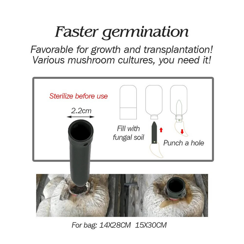 13 15 cm Stick de inoculare pentru ciuperci autoclavabile Ferma ciuperci comestibile Baghetă de pumn pentru cultivarea ciupercilor pentru semănat de grădină de rasă de ciuperci