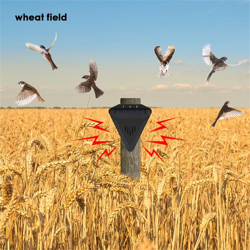 Linnutõrje päikesealarm Linnutõrjeseade Loomade tõrjuja õues Sõitke metsloomad minema Veekindel alarm Aia turvasireen