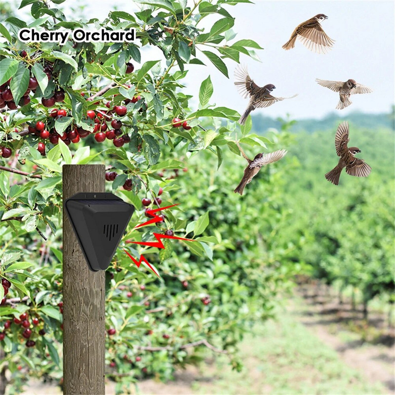 Linnutõrje päikesealarm Linnutõrjeseade Loomade tõrjuja õues Sõitke metsloomad minema Veekindel alarm Aia turvasireen