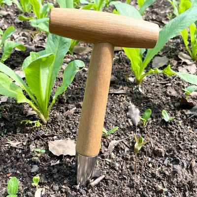 Grădinărit acasă Plantare din lemn Semințe și bulbi Instrumente Sapă de mână Dispozitiv de îndepărtare a răsaduri Instrument pentru plantare de semințe