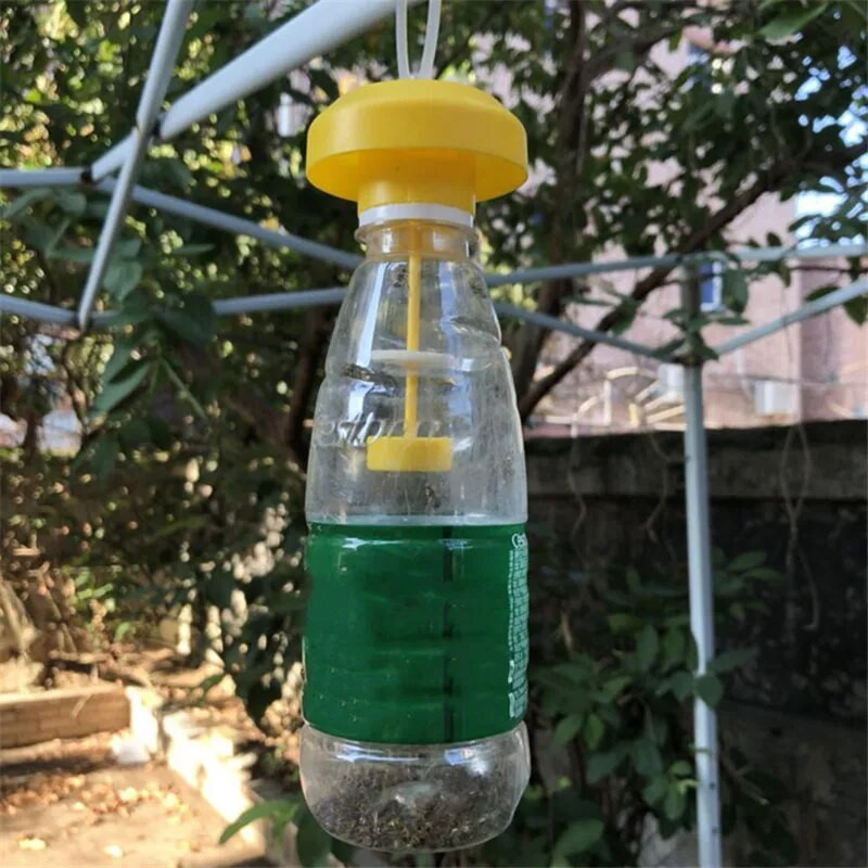 Puuviljakärbselõksu tapja plastikust kollane Drosophila kärbsepüüdja kahjurite putukatõrje kodutalu viljapuuaia jaoks 6*6 cm