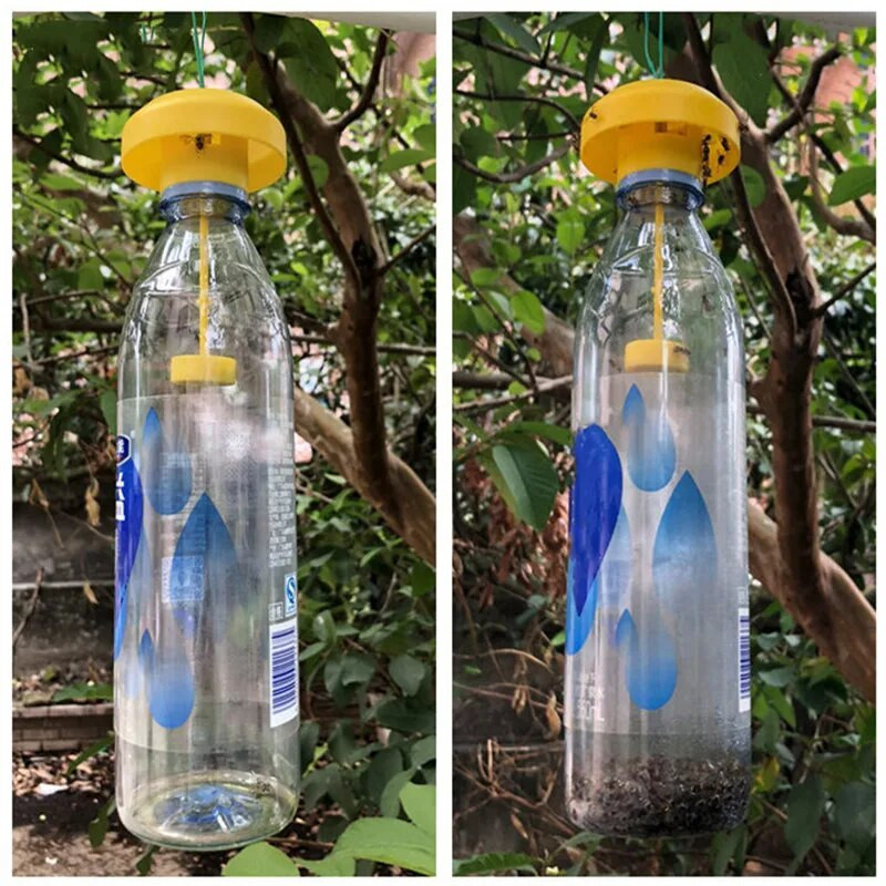 Puuviljakärbselõksu tapja plastikust kollane Drosophila kärbsepüüdja kahjurite putukatõrje kodutalu viljapuuaia jaoks 6*6 cm