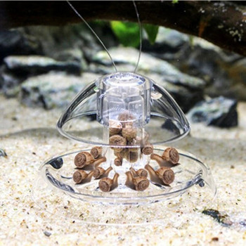 Snail Trap Catcher Ενυδρείο Fish Plant Tank Plastic Clear Pest Catch Box Βδέλλες Περιβάλλον Φυτά Planarian Cleaner Tools