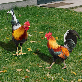 Patung Ayam Taman 2D Akrilik Patung Ayam untuk Halaman Dekorasi Tahan Cuaca Patung Ayam untuk Pertanian Teras Rumput Halaman Bel