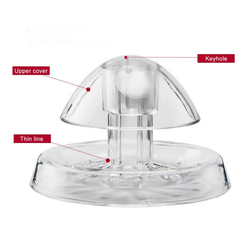 Pagrindinis puslapis Sraigių gaudyklės akvariumas Sraigių gaudyklės Planaria Kenkėjų gaudymo dėžutė Akvariumo sraigių šalinimo įtaisas