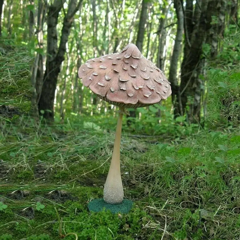 Lauko dervos dekoravimas Ornamentas Grybas Močiutė Keistas žmogaus veidas Veja Sodininkystė Figūros Skulptūra Dekoravimas