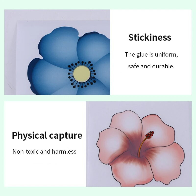 Gėlių klijų lipdukas Muselių gaudyklė Lipni vabzdžių gaudyklės lenta uodų žudikė namų kenkėjų kontrolės priemonė, vidaus stiklo lango muselės 30 vnt.