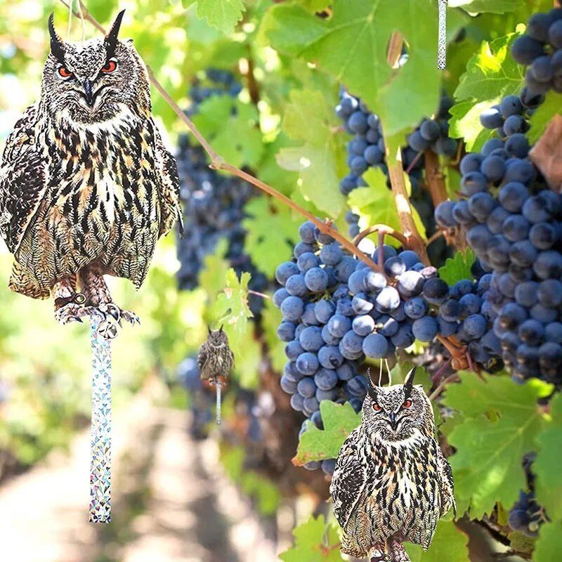 Noul acrilic pentru respingere pentru păsări de bufniță falsă, reflectă lumina puternică pentru decorarea suspendată, ține păsările departe Instrumente pentru grădină în aer liber