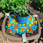 50 vnt/pak. Šviečiantys akmenukai sodo dekoras švyti tamsoje Dekoratyvinės lauko akutės