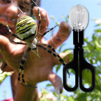Уловител на насекоми Ножица Влечуго Вътрешна Преносима пластмасова скоба щипка Прозрачна кутия за паяци Птици Градински консумативи