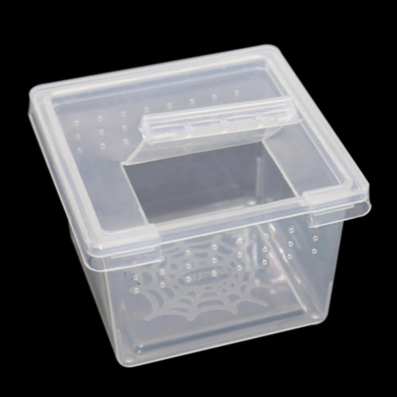 Vabzdžių gaudytojas žirklinis roplys Vidinis lauko nešiojamas plastikinis gnybtas permatomas paukščių voras spąstų dėžutė sodo reikmenys