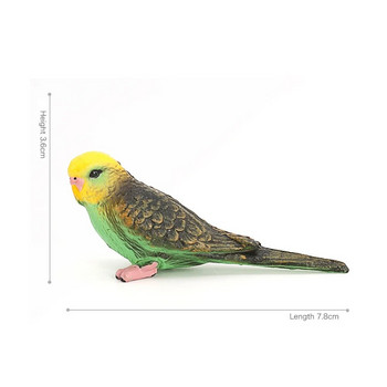 Δημιουργική προσομοίωση παπαγάλος παπαγάλος μινιατούρα στολίδι τοπίου Ζώο μοντέλο γκαζόν ειδώλιο Τεχνητά στηρίγματα φωτογραφίας πουλιών