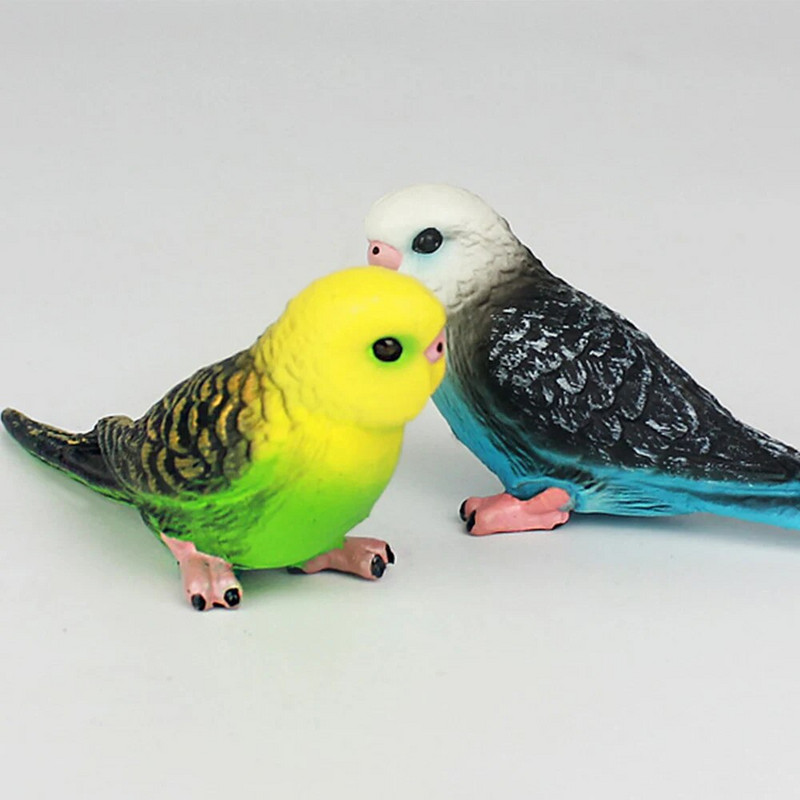 Kūrybinis modeliavimas papūgos papūgėlės miniatiūrinis kraštovaizdžio ornamentas gyvūnas modelis vejos figūrėlė dirbtinis paukščių fotografavimo rekvizitas