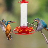 Hrănitoare pentru păsări Accesorii pentru grădină Hrănitoare pentru colibri Băutor Ventuză Decor de grădină Design de flori Hrănitoare pentru păsări pentru păsări sălbatice
