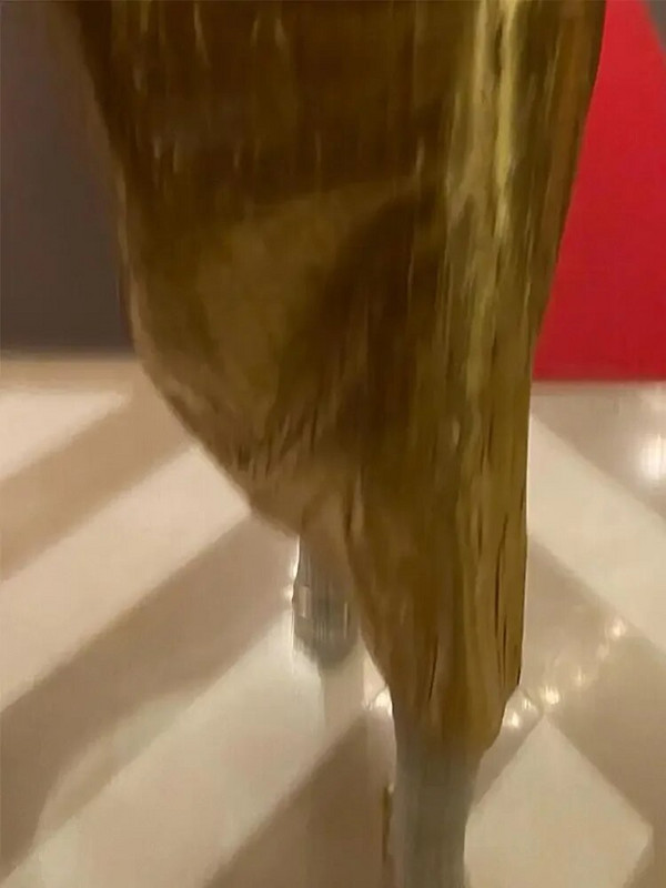 DAENERYS RES Moodne litritega seelik naistele Elegantne sädelev Midiseelikud Lady Vintage vabaaja massiivne vaba kontorikleit 2024