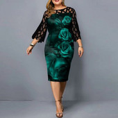 Suures suuruses naiste riided Elegantne vabaaja peokleit Sügis-/talvine pitstrükiga põlvedeni laineline varrukas, O-kaelus