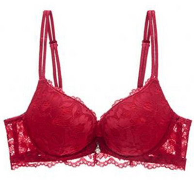 Logirlve Hot Seksi Push Up grudnjak Duboki V grudnjak Debeli pamuk Žensko donje rublje Čipka Ljubičasti vez Cvijeće Donje rublje Grudnjaci s AB košaricama