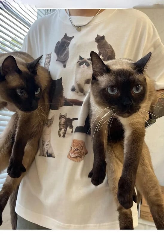 Cat party cat printing κοντομάνικο στιλ ζεύγους τάσεις εξειδικευμένες χαλαρές casual ζευγάρι καθαρό βαμβακερό, ευέλικτο μπλουζάκι σε μέγεθος χωρίς