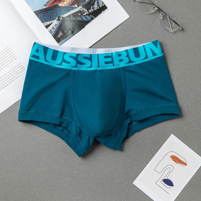AUSSIEBUM Vyriški bokseriai U išgaubto dizaino strypo kelnaitės College stiliaus jaunystės vienspalviai seksualūs maži bokso šortai